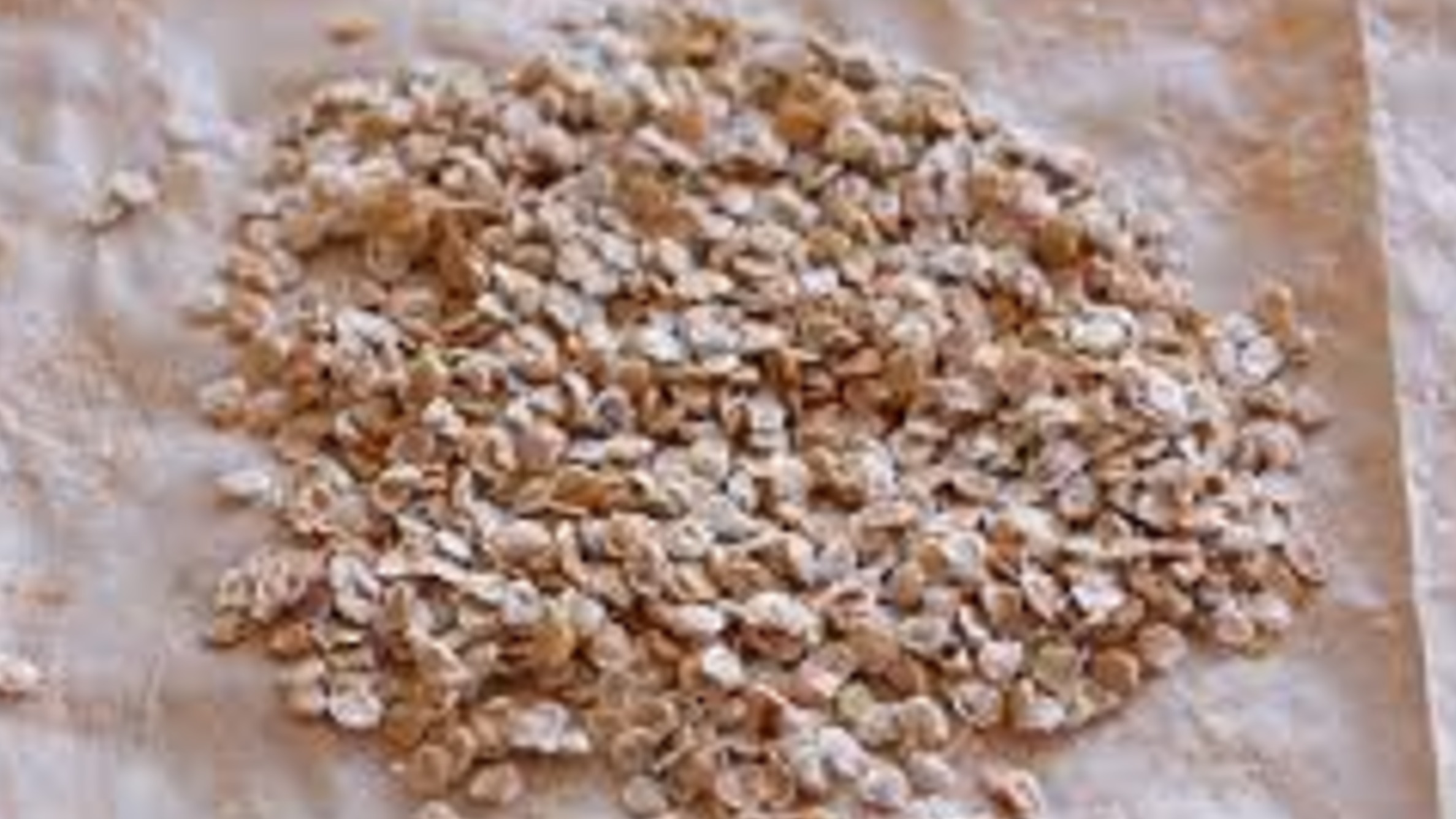 Swiss Alps Expedition